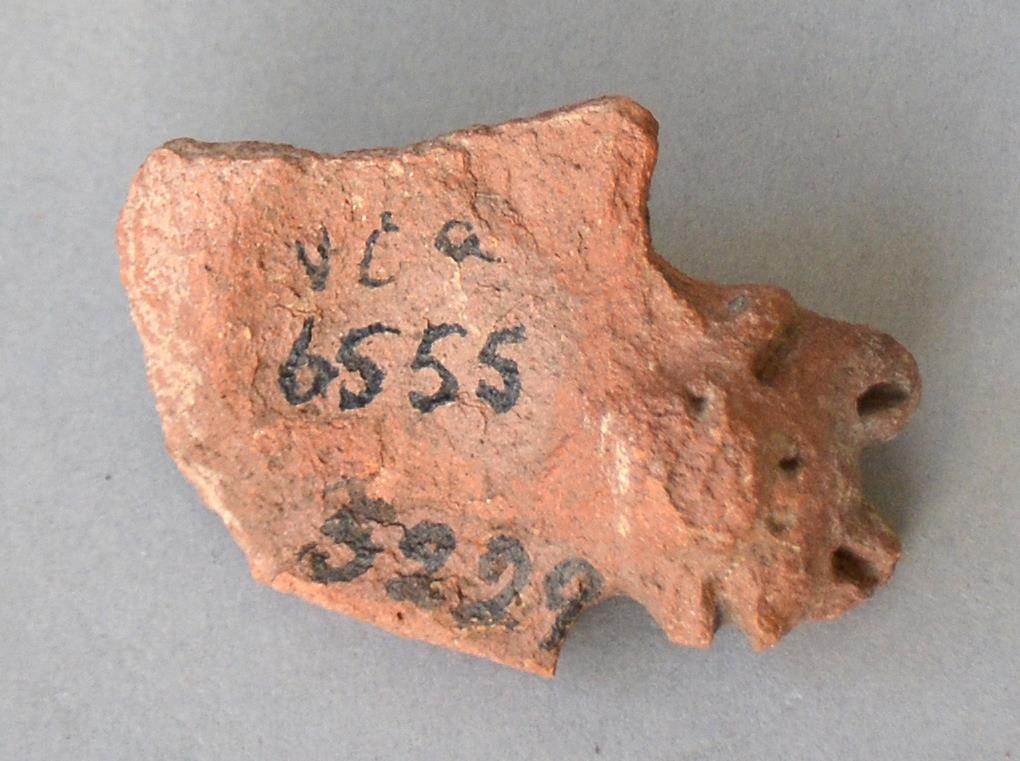 V C 6555