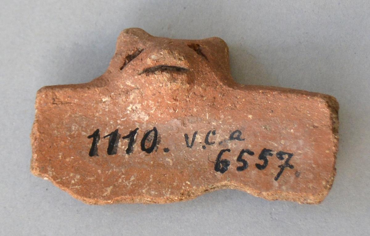V C 6557