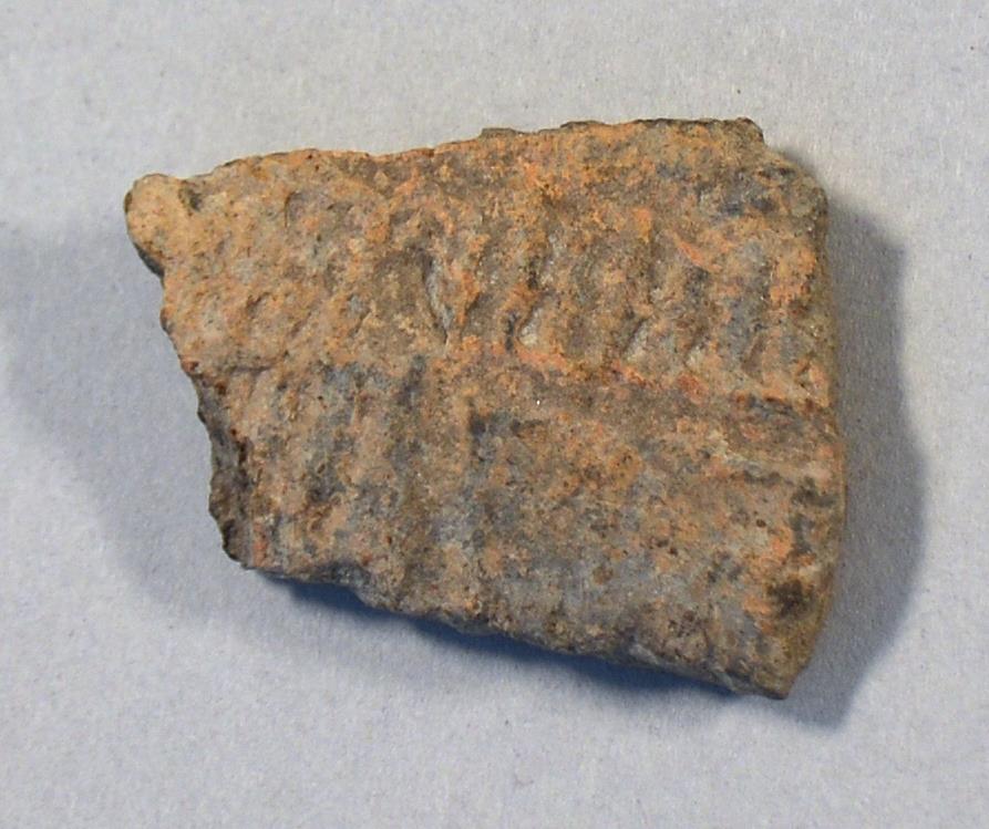 V C 9445 b