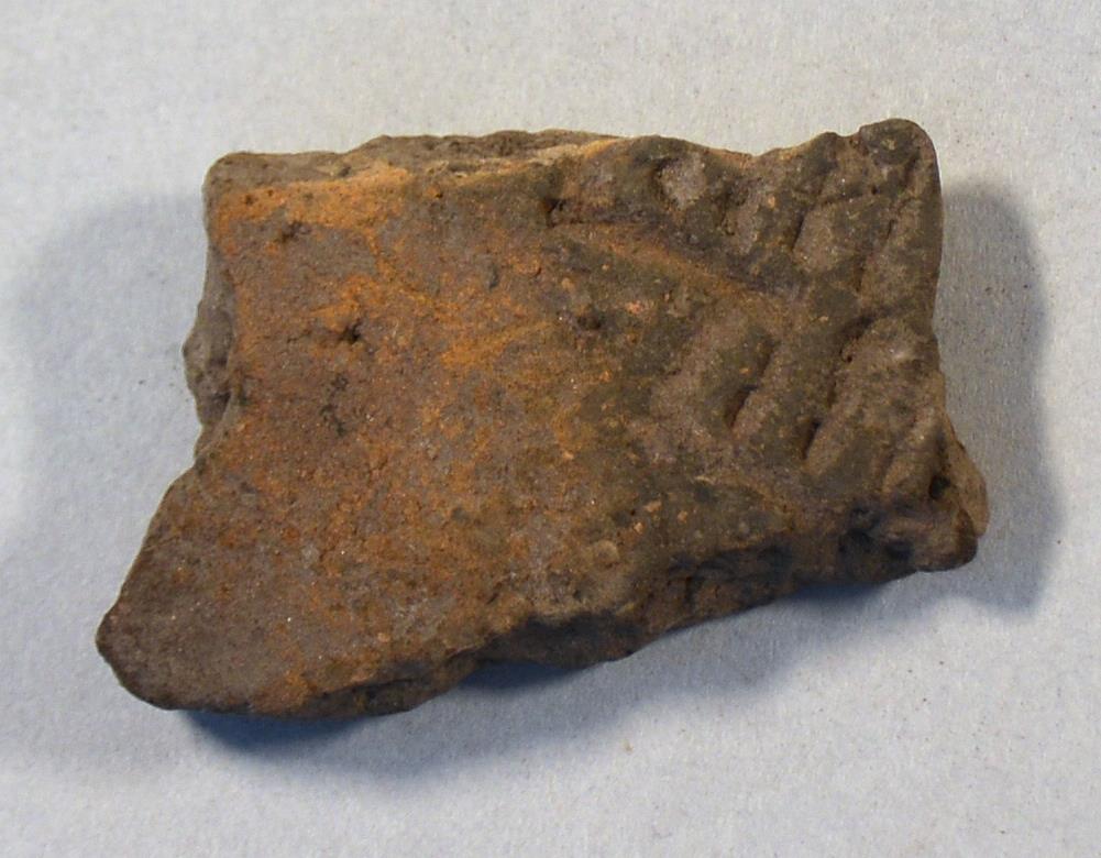 V C 9449 o