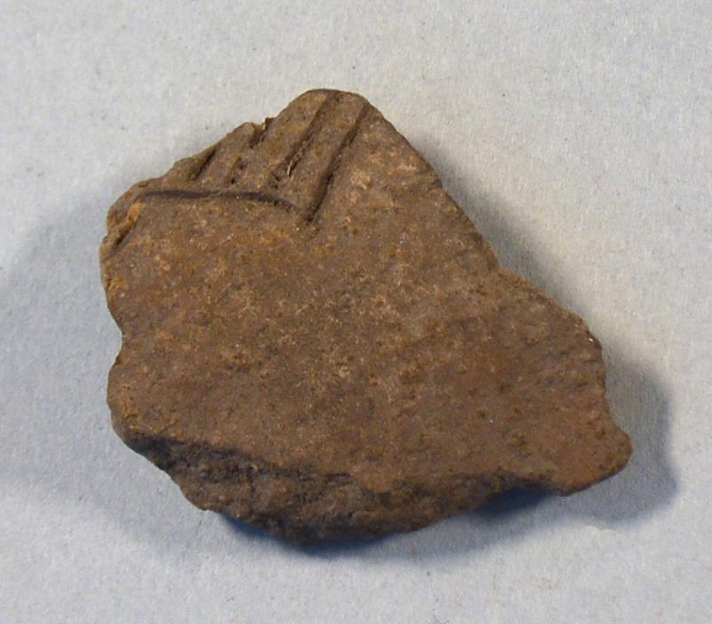 V C 9449 v