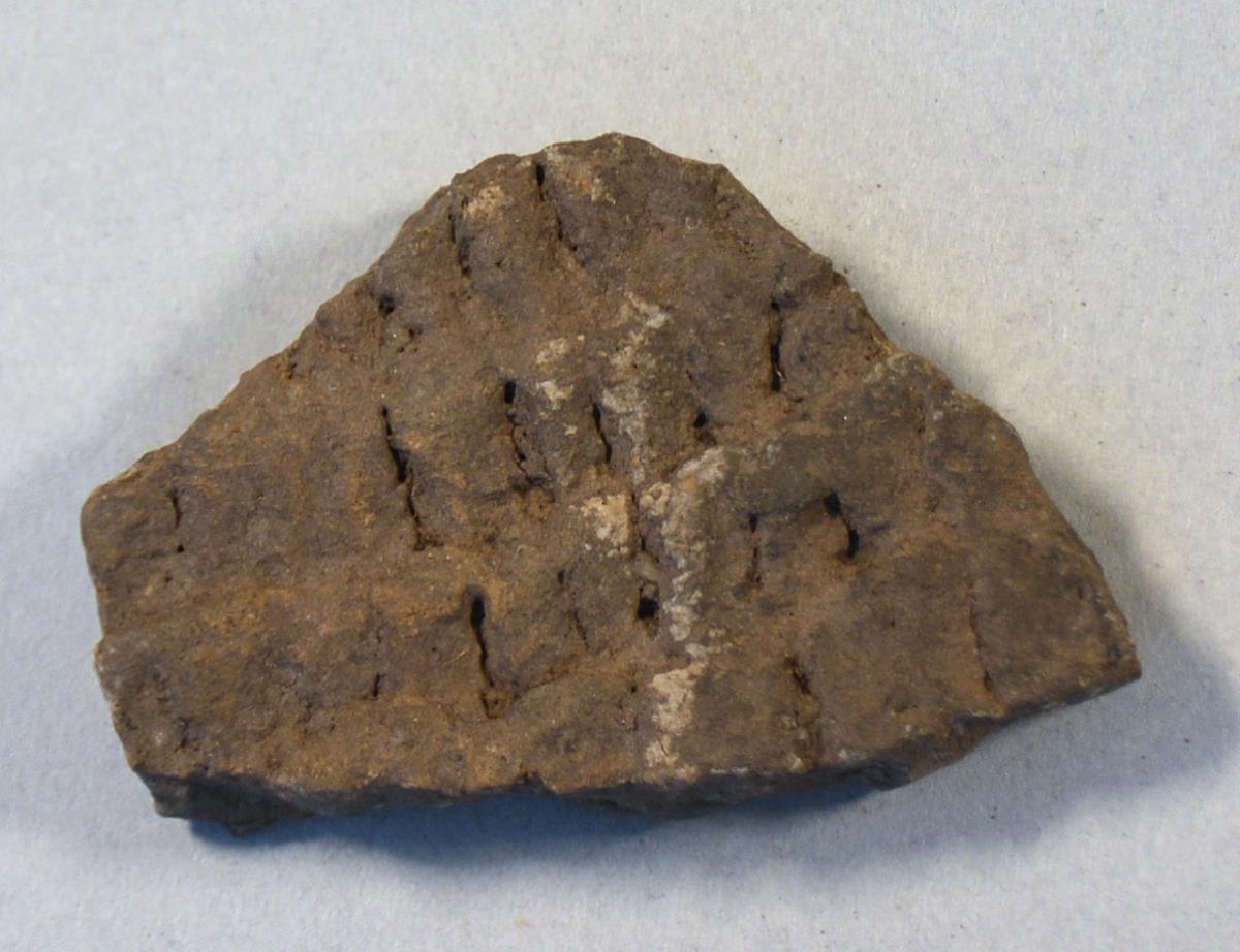 V C 9462 b
