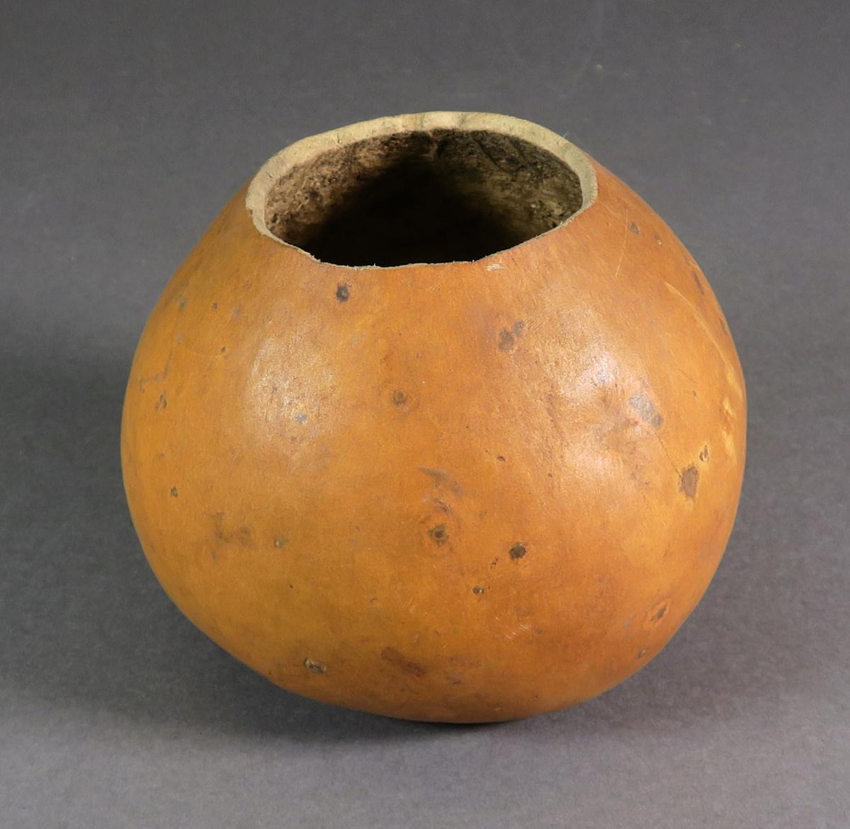 VII E 7131 f