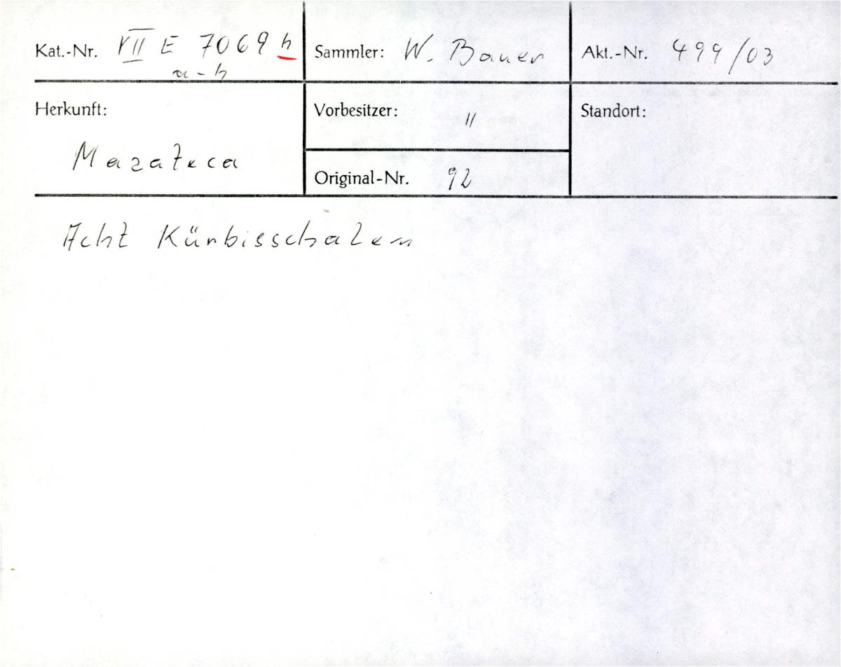 VII E 7069 h