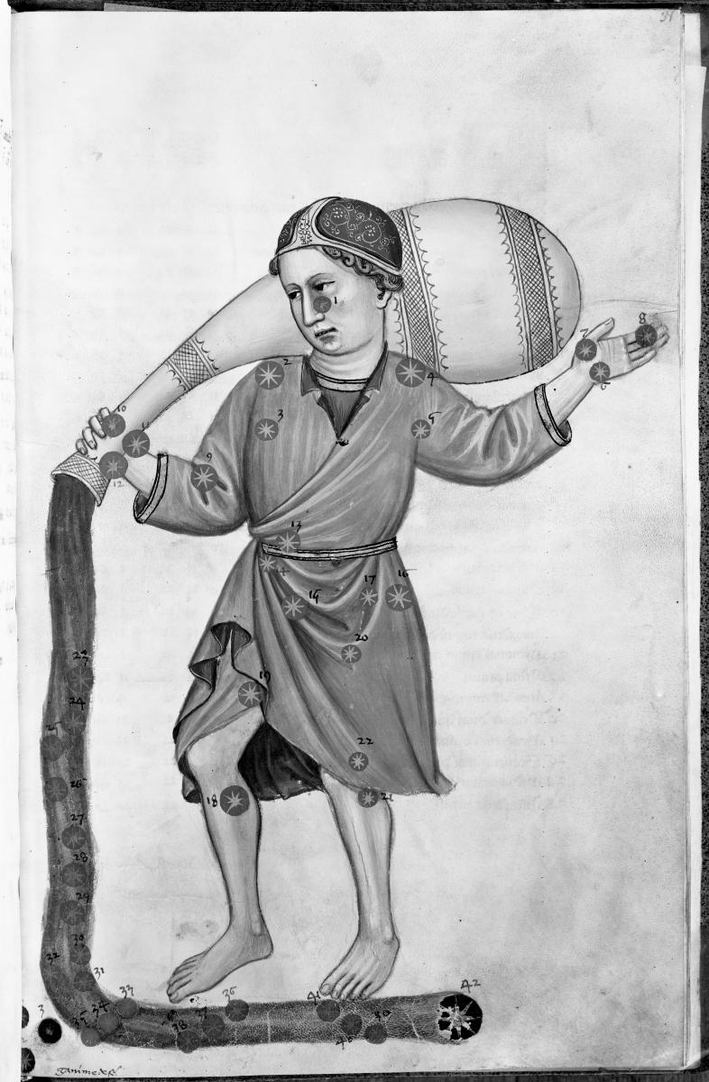 Sternbild des Wassermann. in: Ptolemäus. Catalogus fixarum stellarum (Alfonsinische Tafeln)