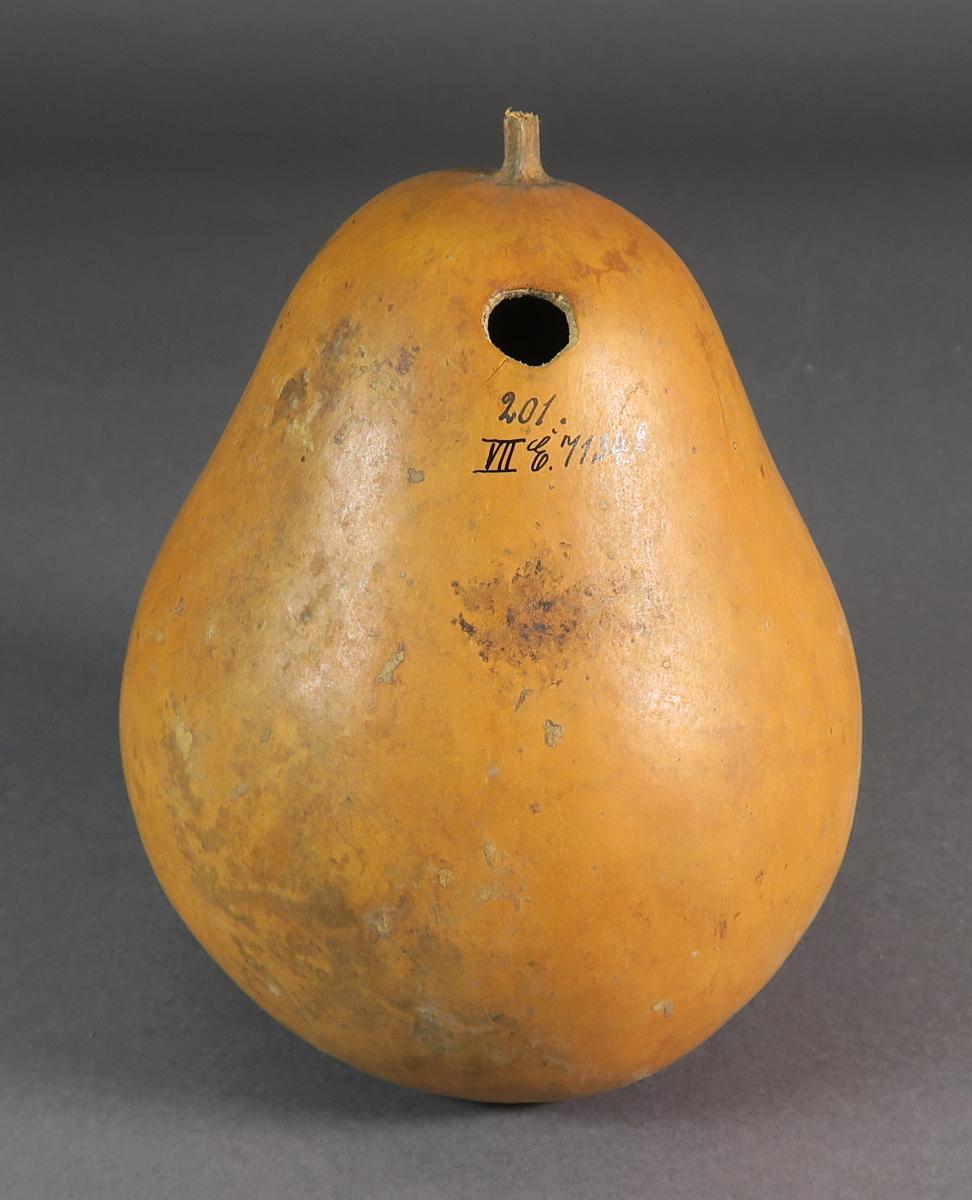 VII E 7134 (6)