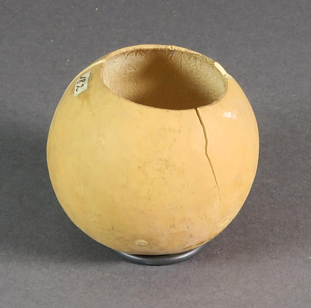 VII E 7132 b