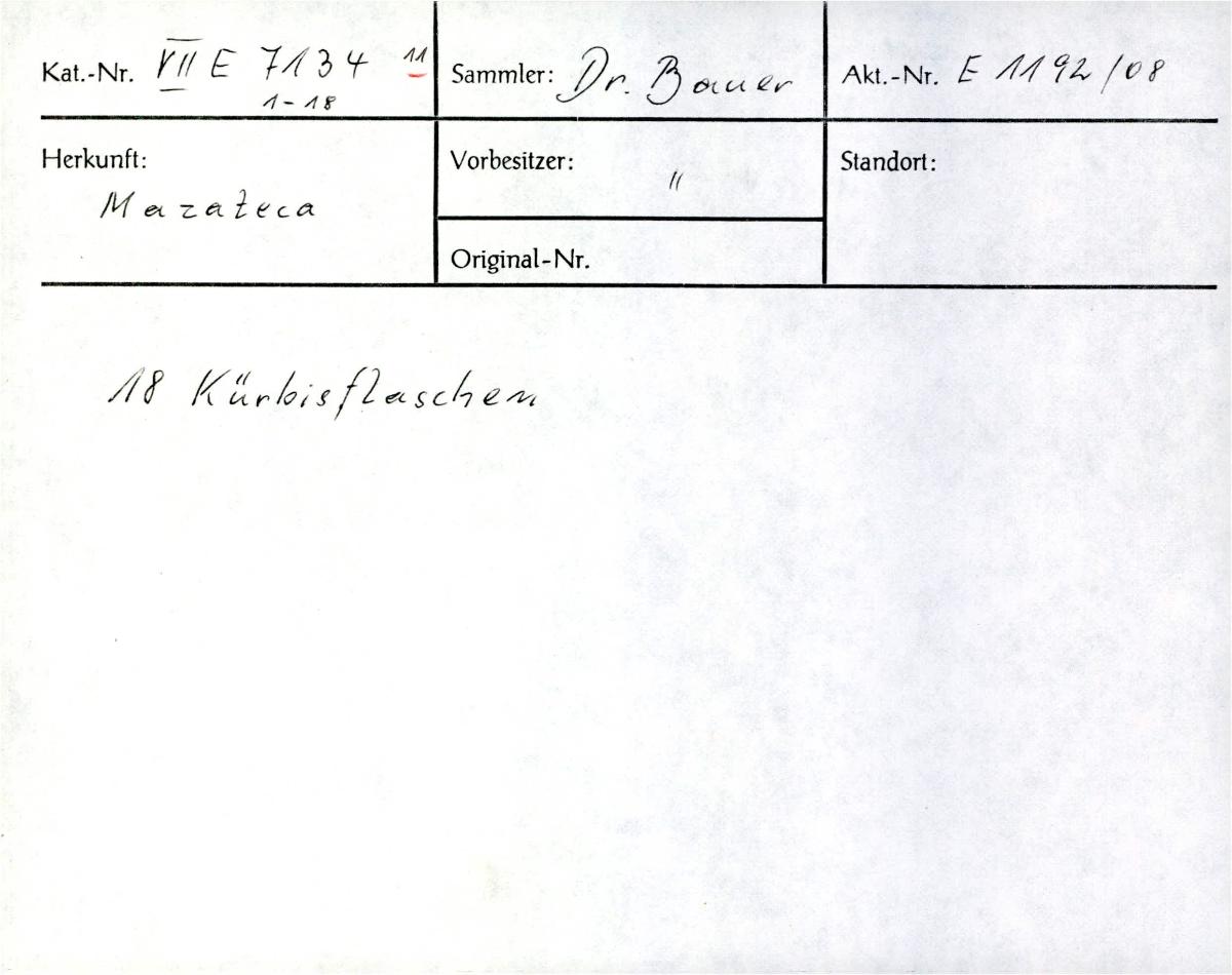 VII E 7134 (11)