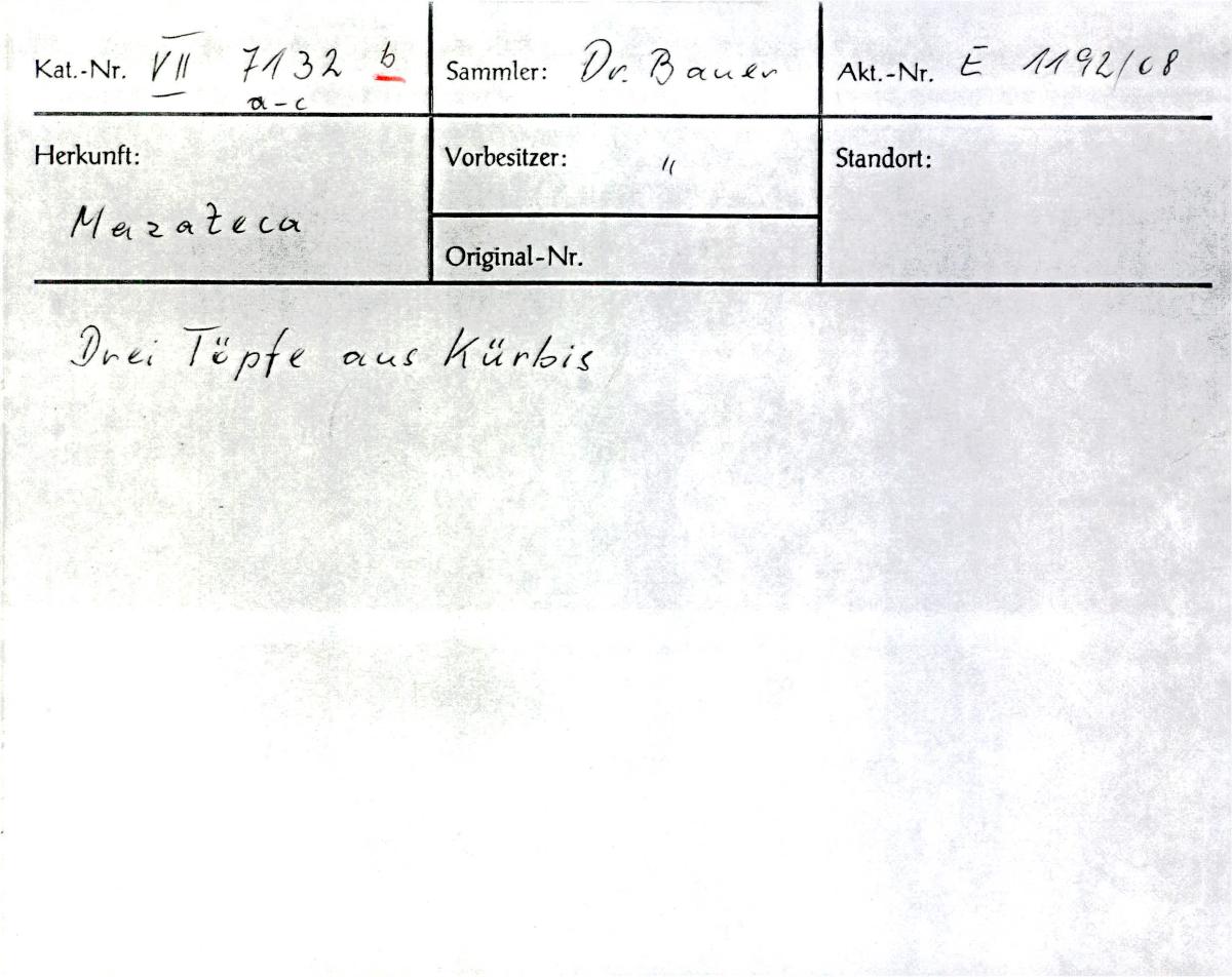 VII E 7132 b