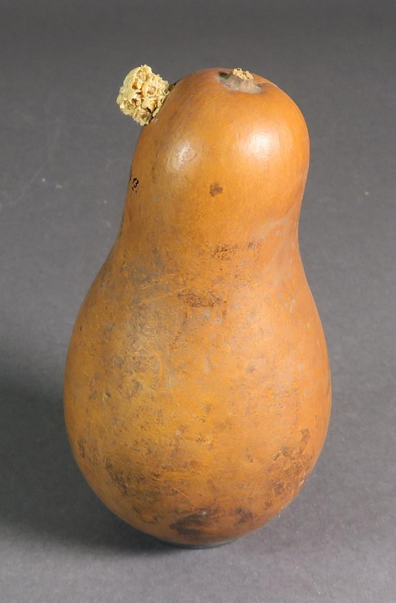 VII E 7134 (13)