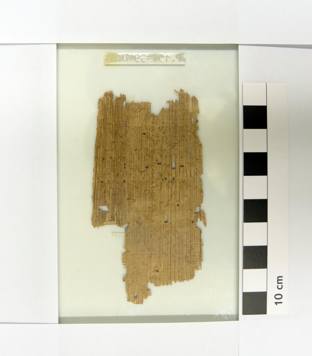 Demotischer Papyrus mit dem sog. "Thotbuch" (Pap. Berlin P 15499 a + P 15499 b I-III + P 23513 a-c)