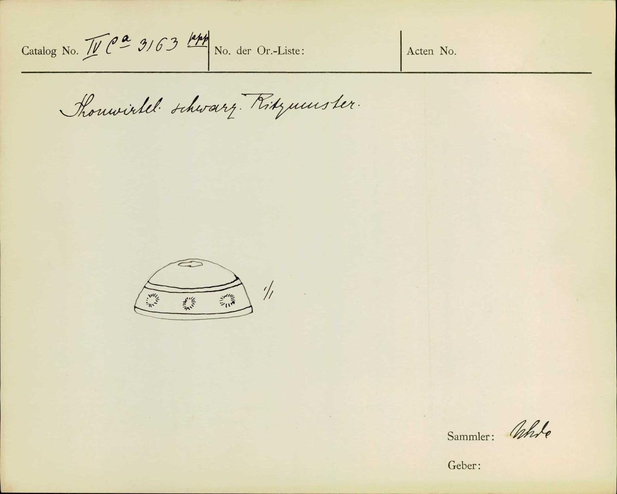 IV Ca 3163 ppp