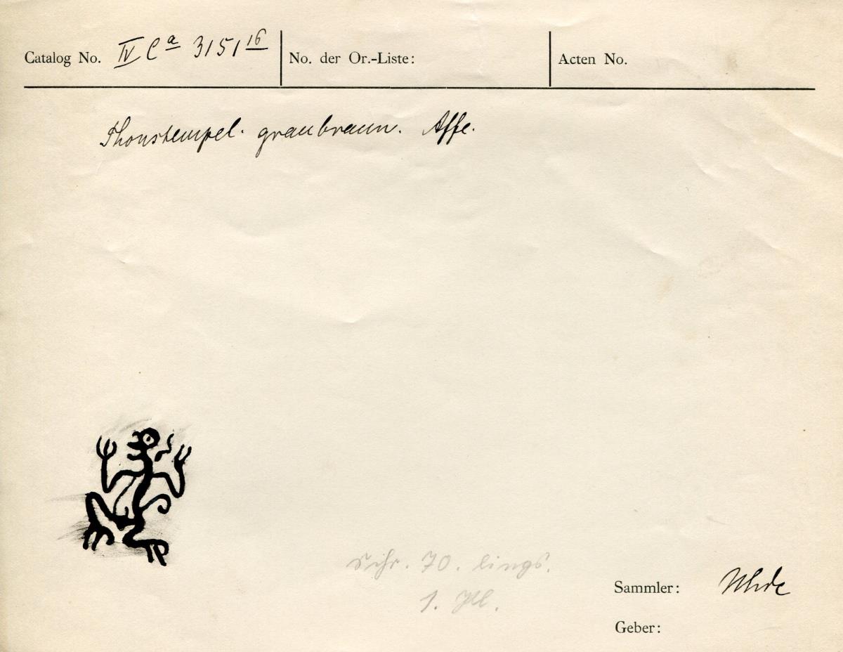 IV Ca 3151 (16)