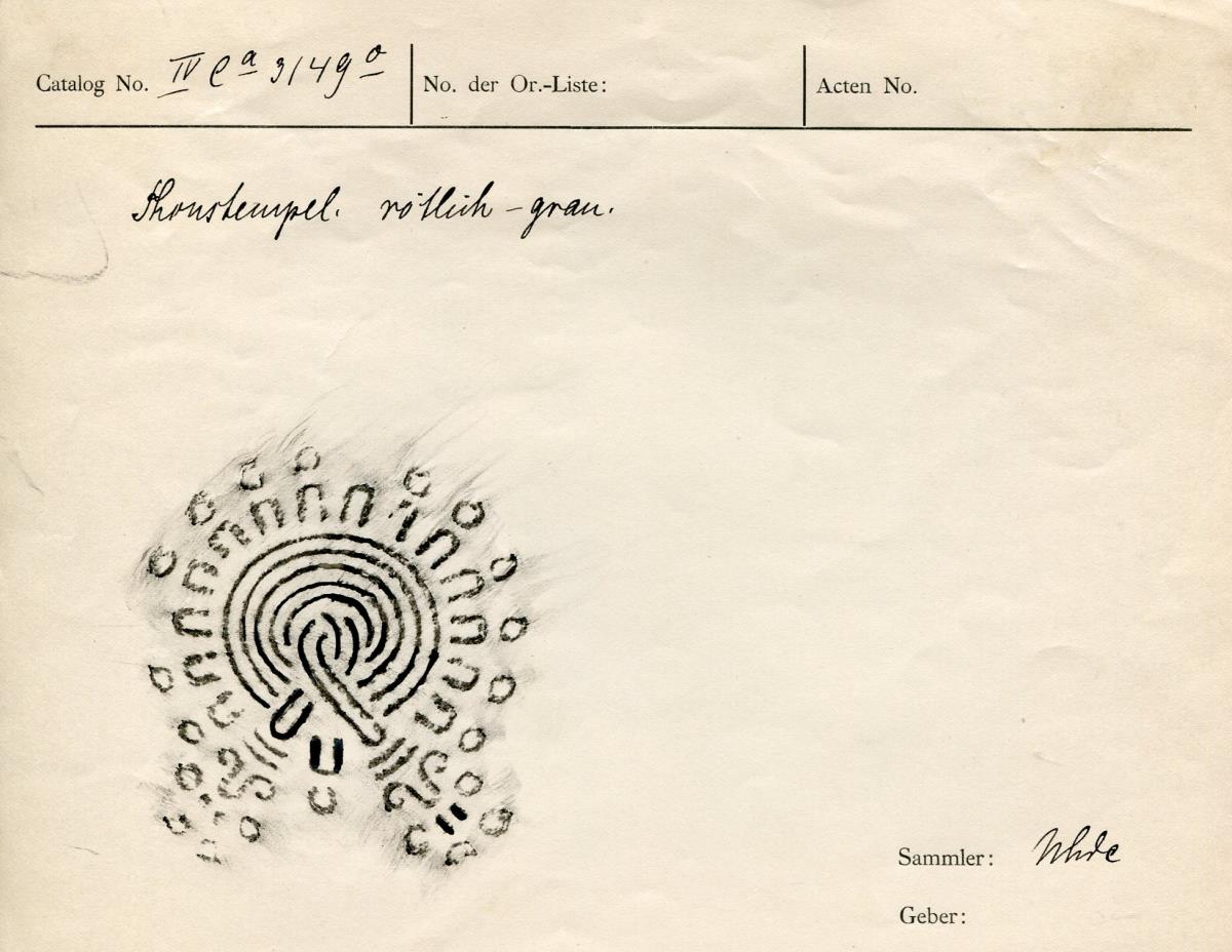 IV Ca 3149 o