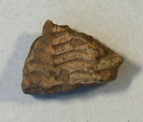 V C 9446 p