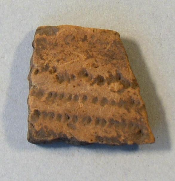 V C 9448 b