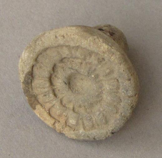 IV Ca 3155 (8)