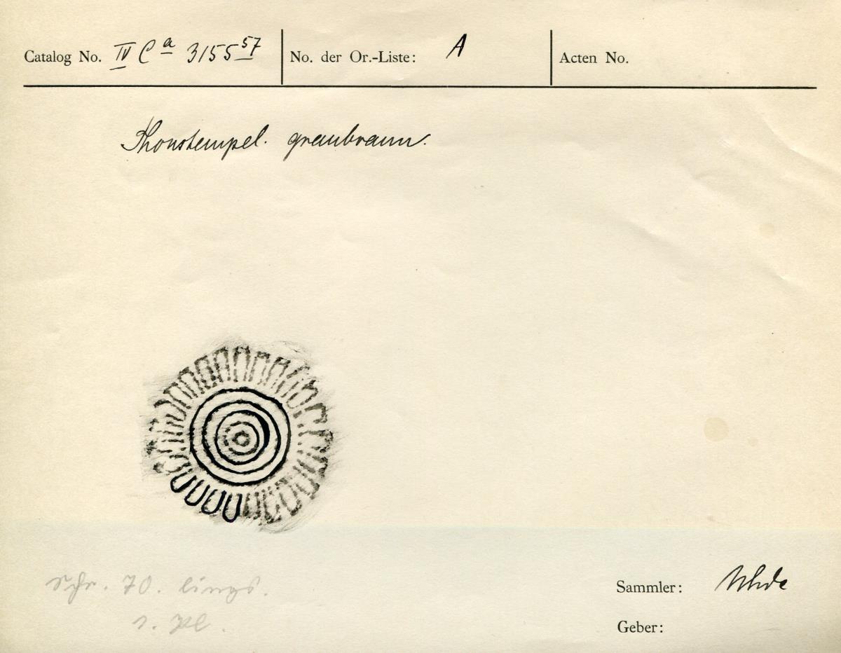 IV Ca 3155 (57)