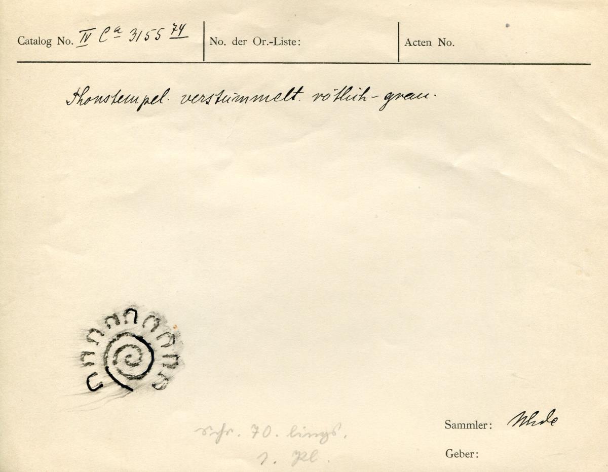 IV Ca 3155 (74)