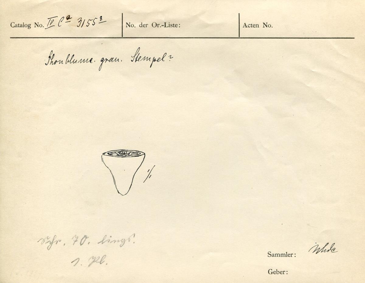 IV Ca 3155 (8)