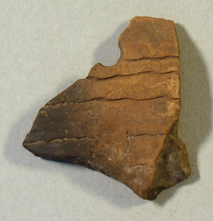 V C 9466 c