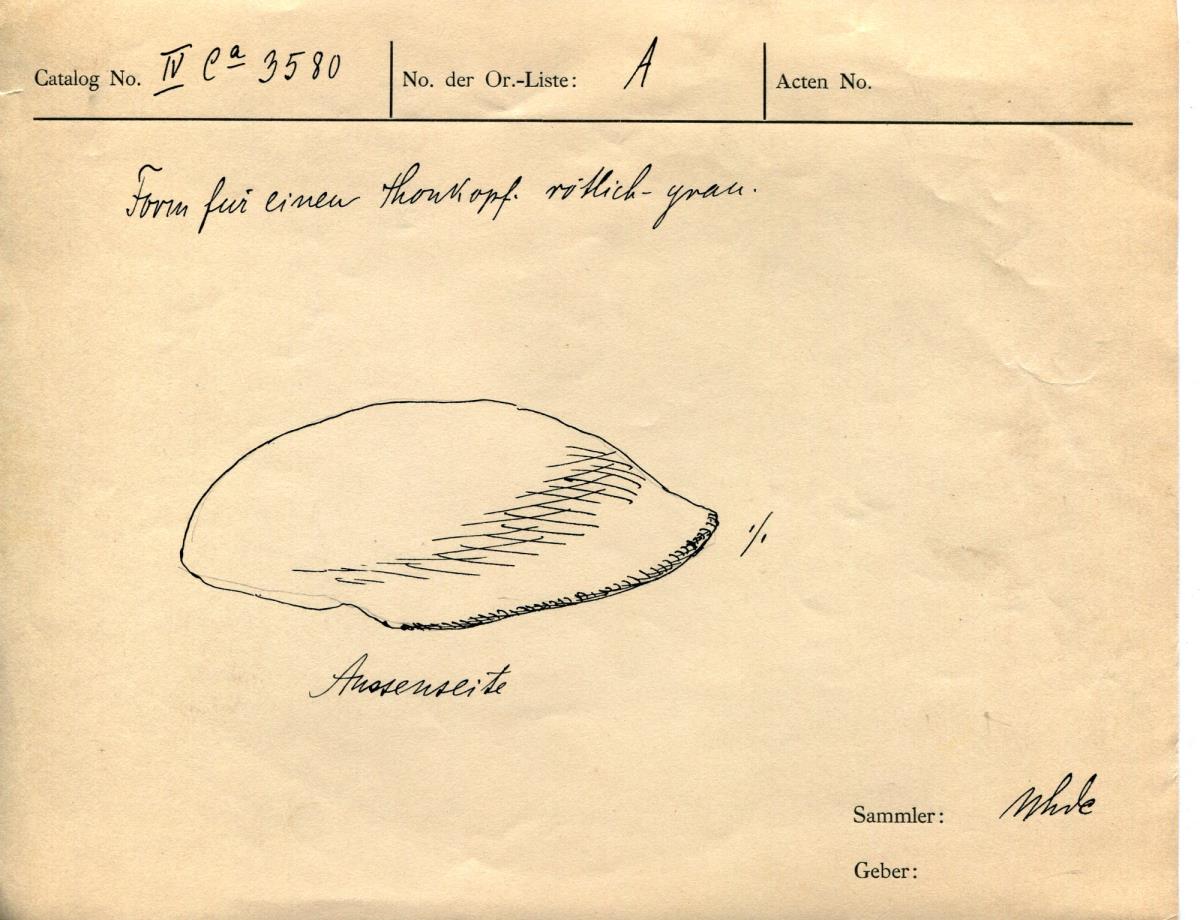 IV Ca 3580