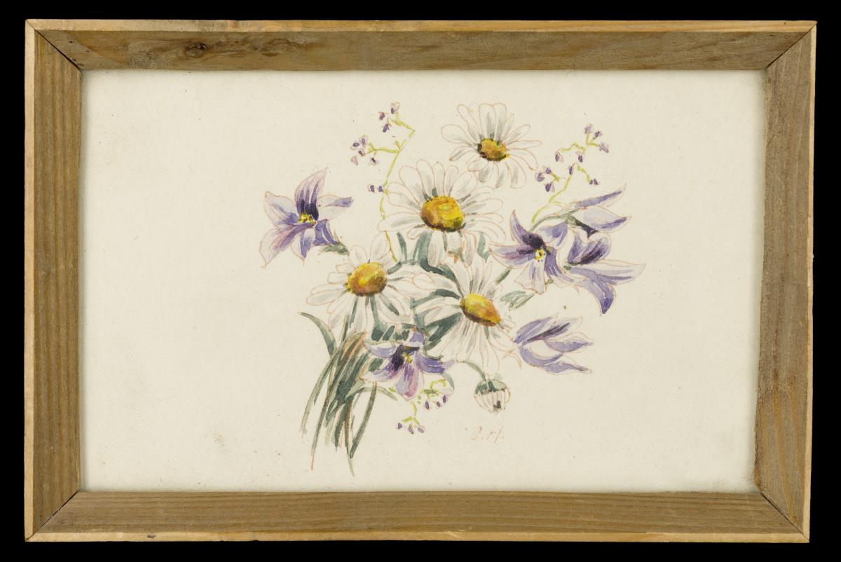 o.T. [Blumen]