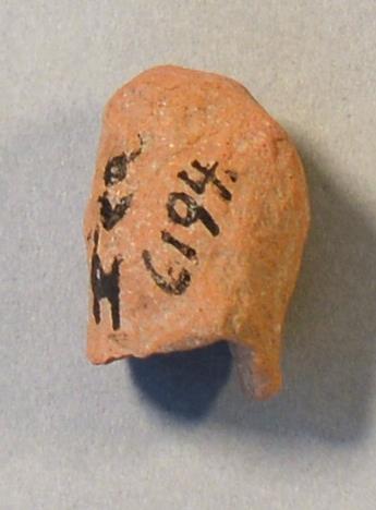 V C 6194