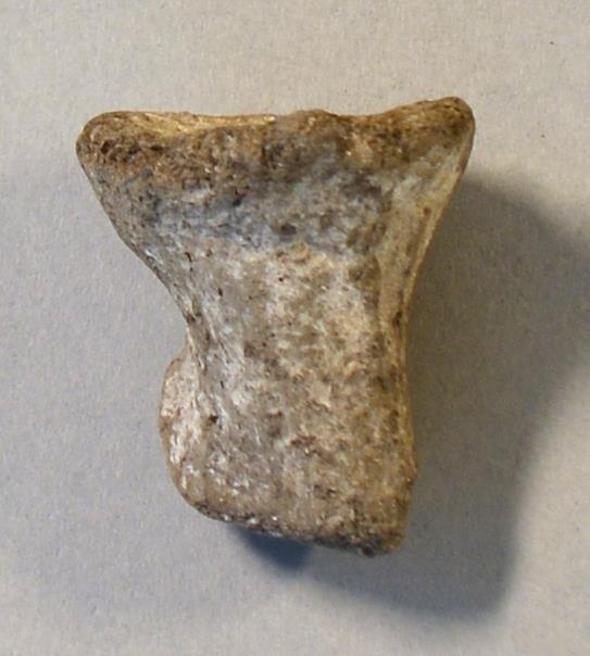 V C 6198