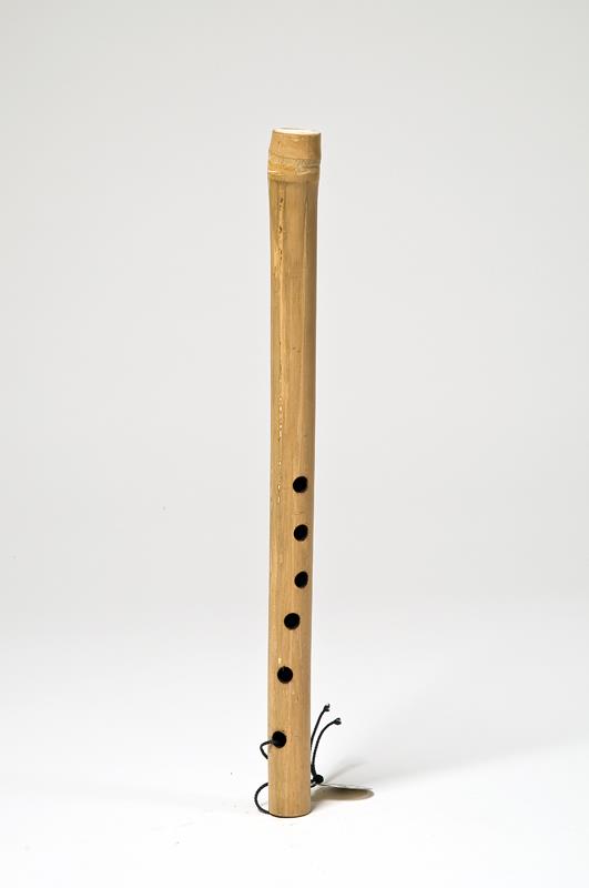 VII f 263