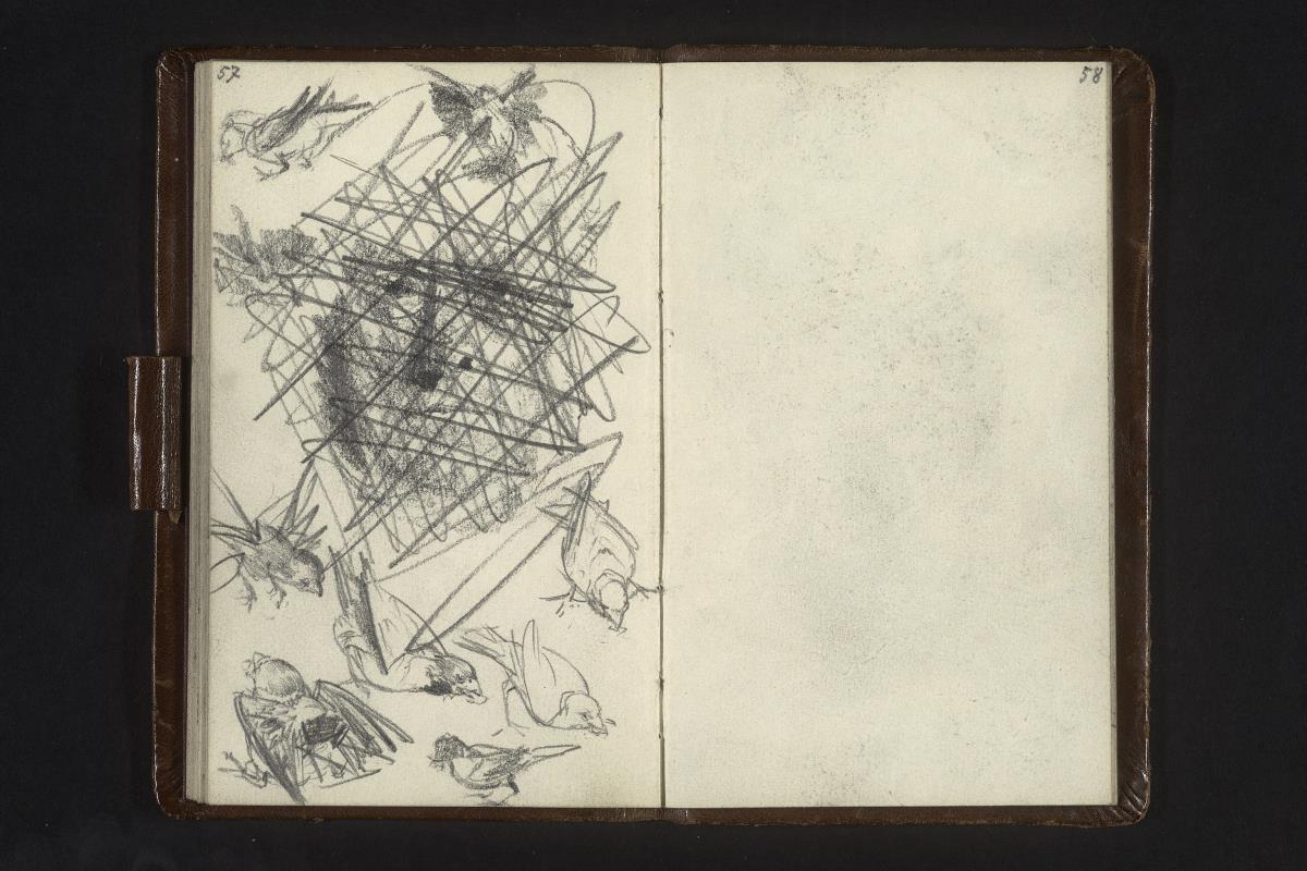 Kleine Vögel, Gesichtsstudie (verworfen)