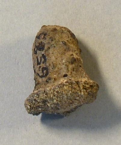 V C 6583
