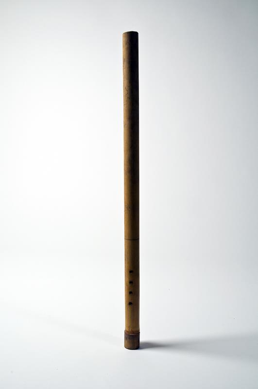 VII Nls 1019
