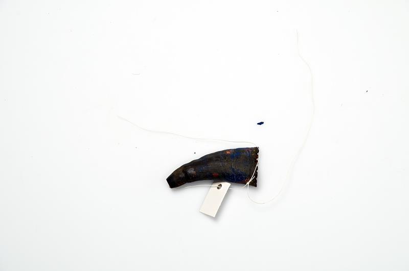 VII Nls 84