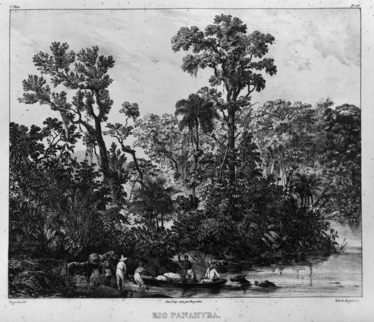 "Rio Panahyba"