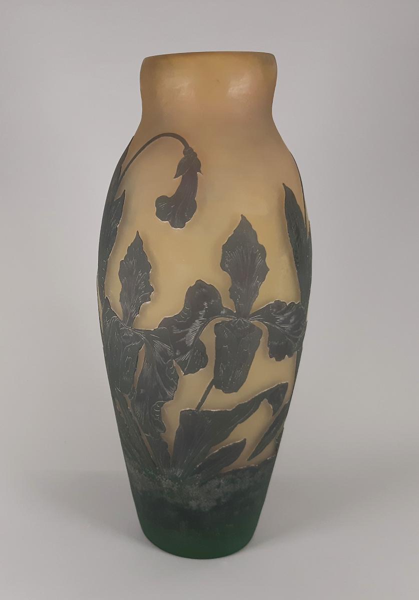 Vase mit Frauenschuh