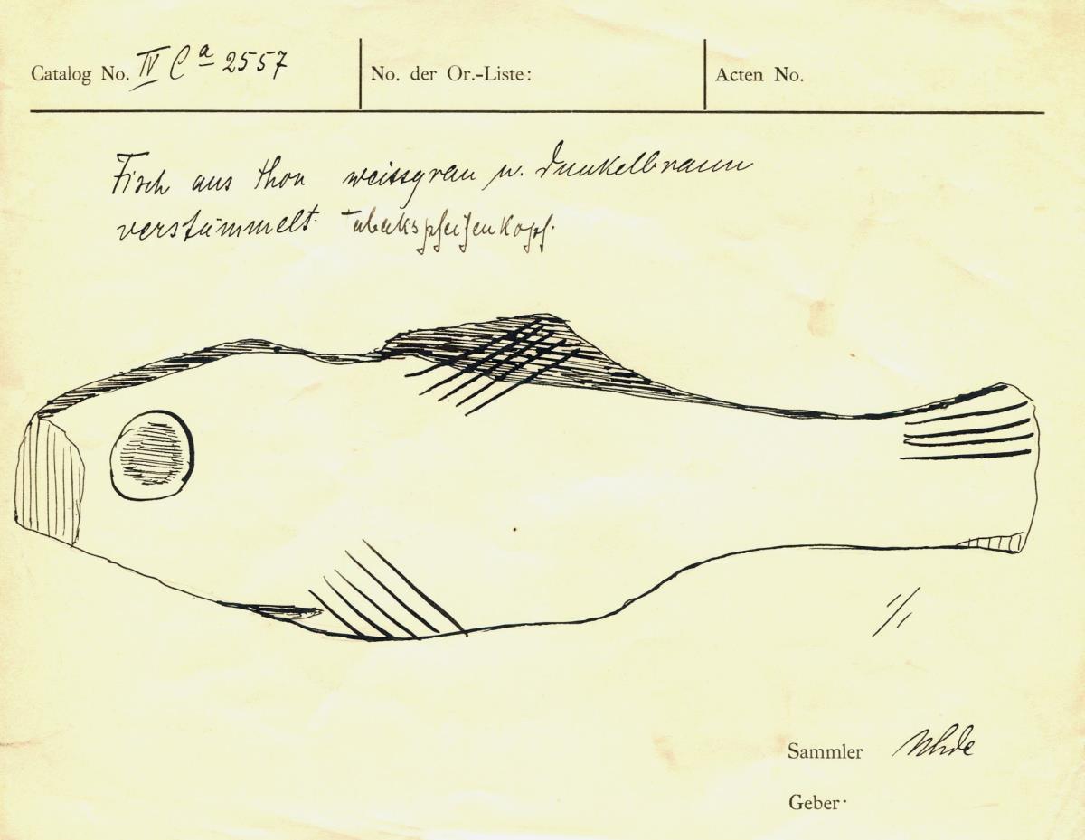 Fisch