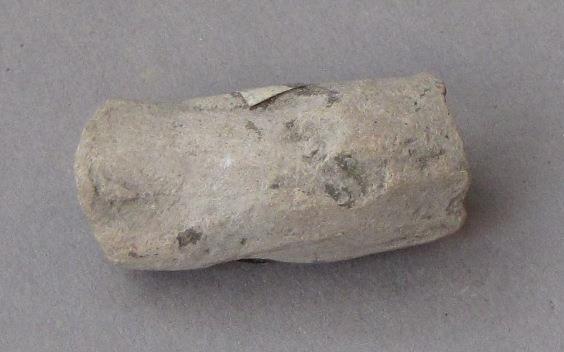 IV Ca 3154 (73)