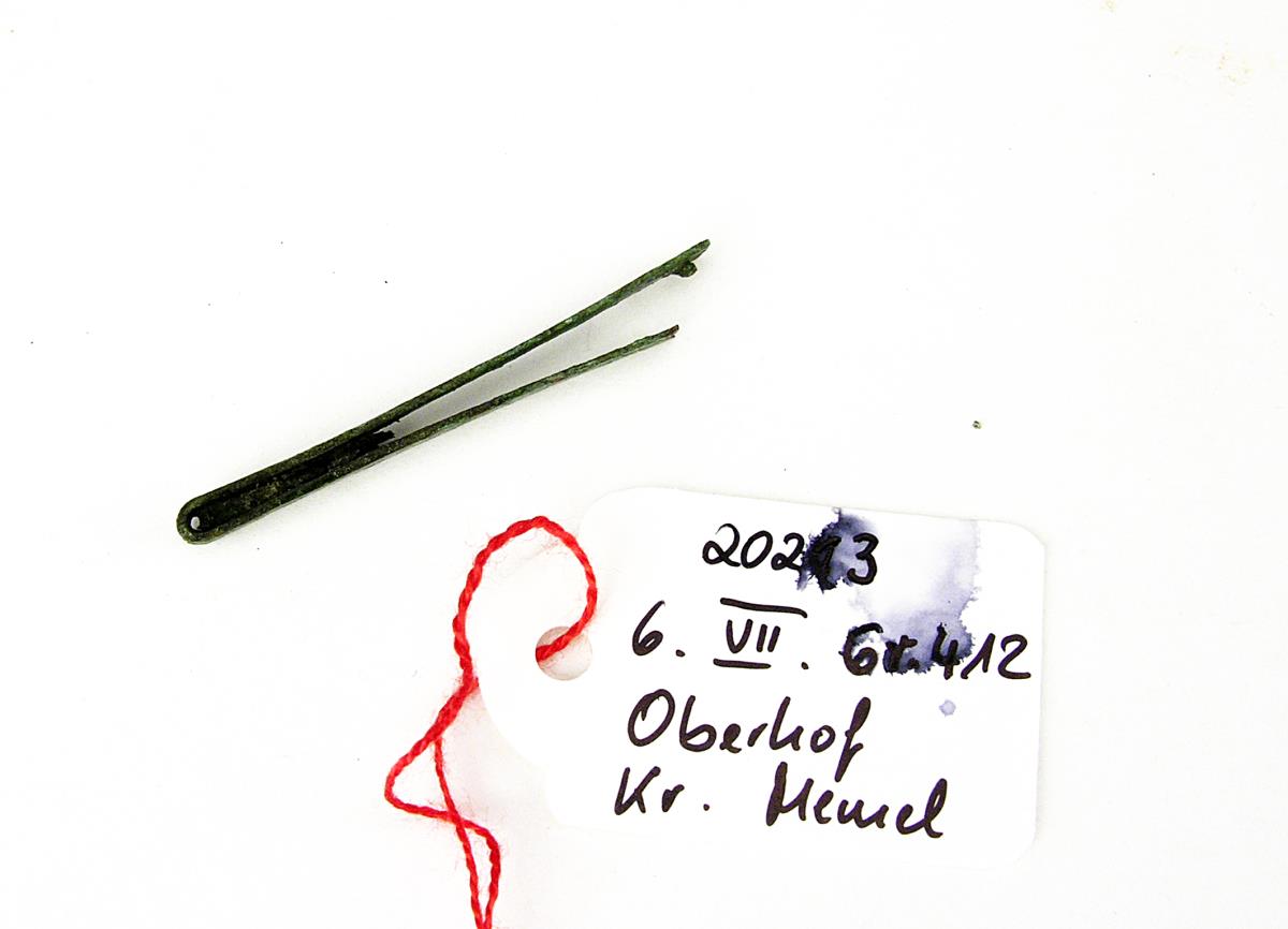 Riemenzunge