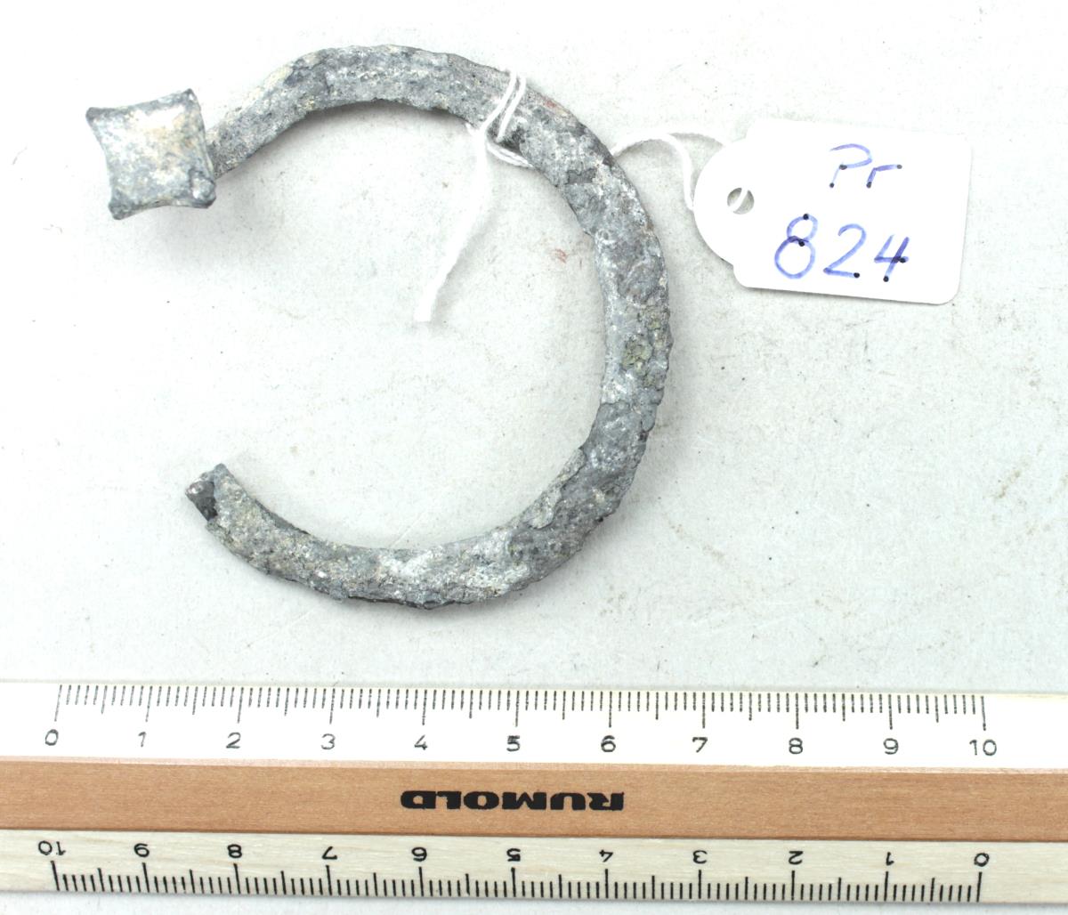 Hufeisenfibel