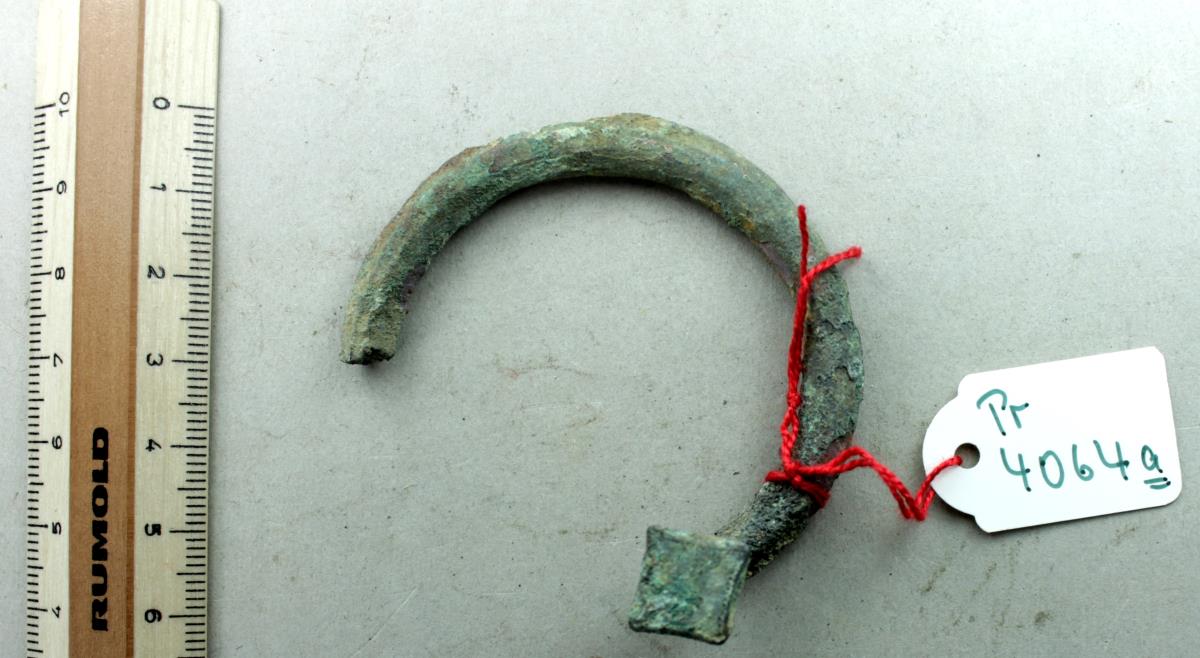Hufeisenfibel