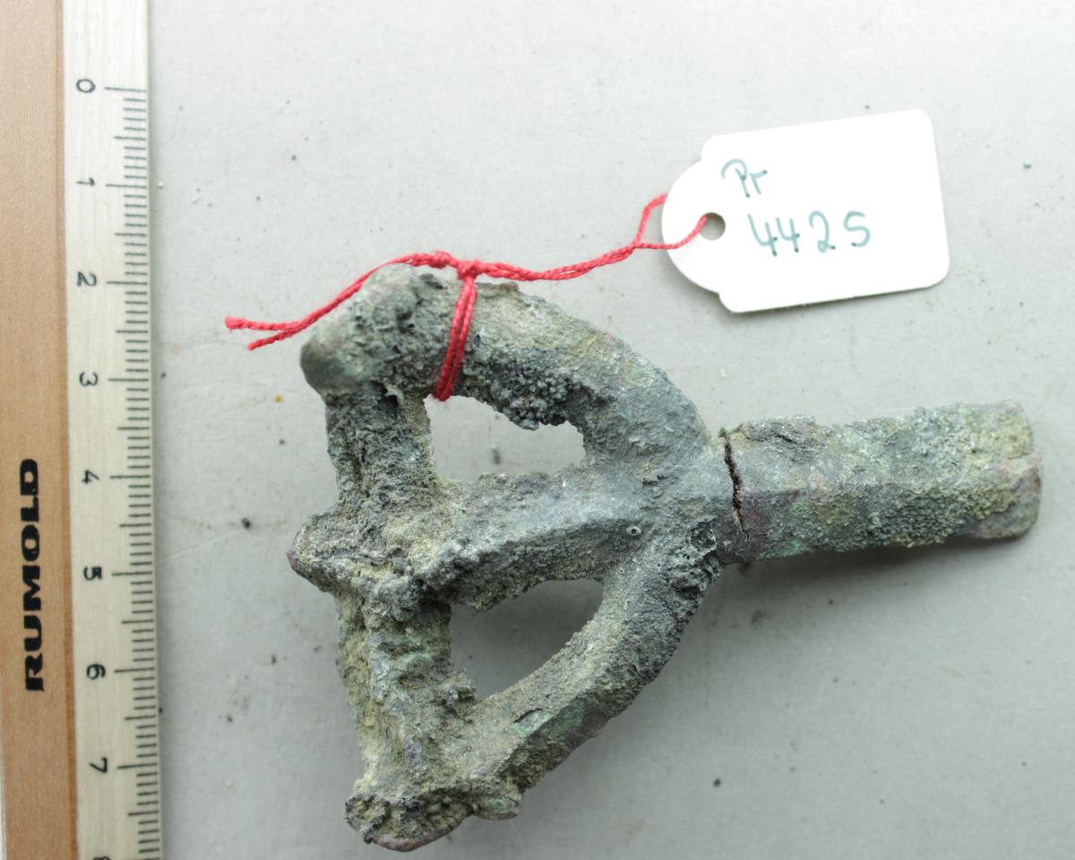 Armbrustfibel