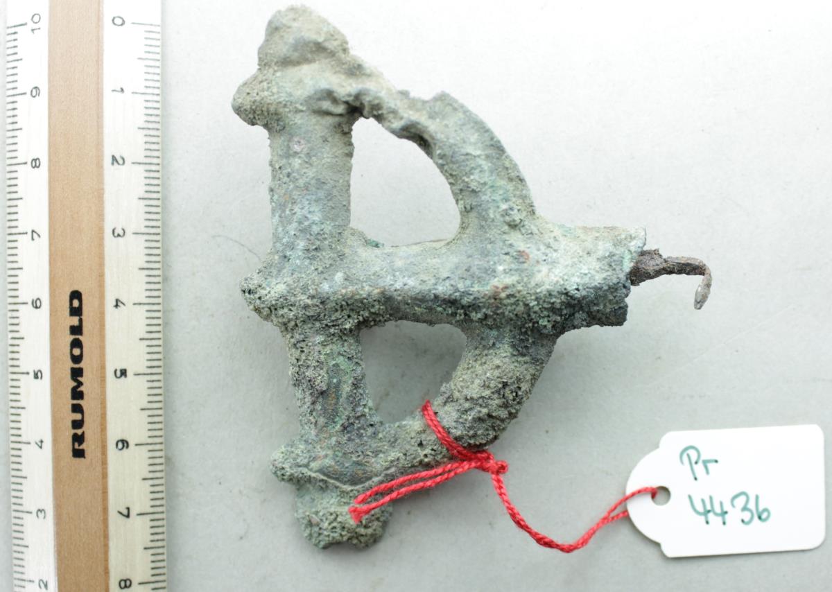 Armbrustfibel