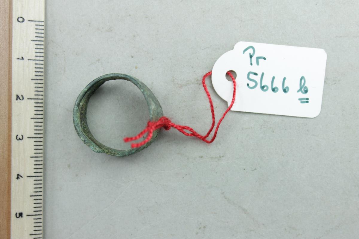 Fingerring