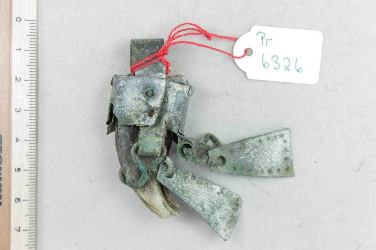 Bärenkrallenamulett