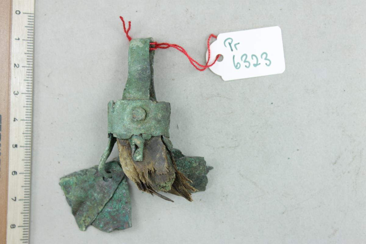 Bärenkrallenamulett