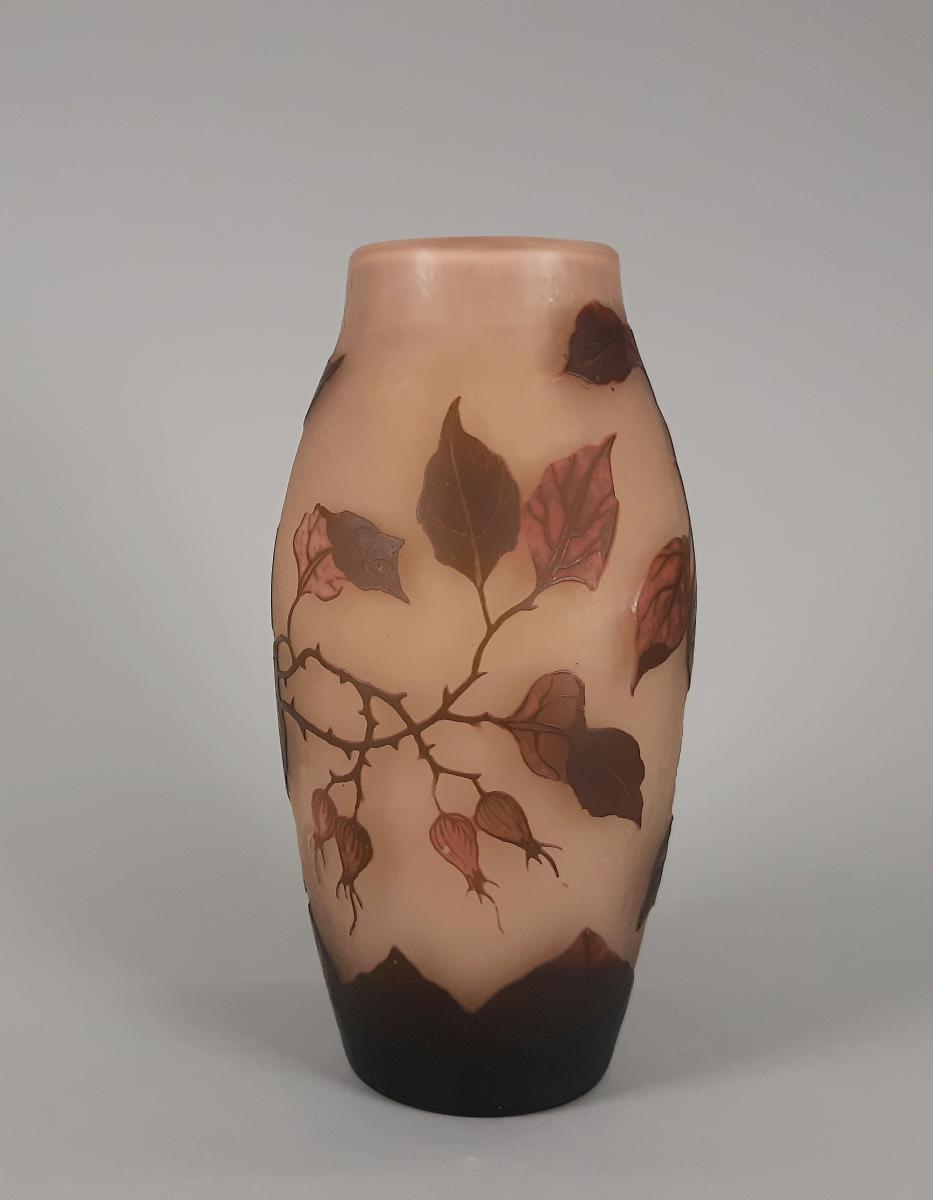 Vase mit Hagebuttenzweigen