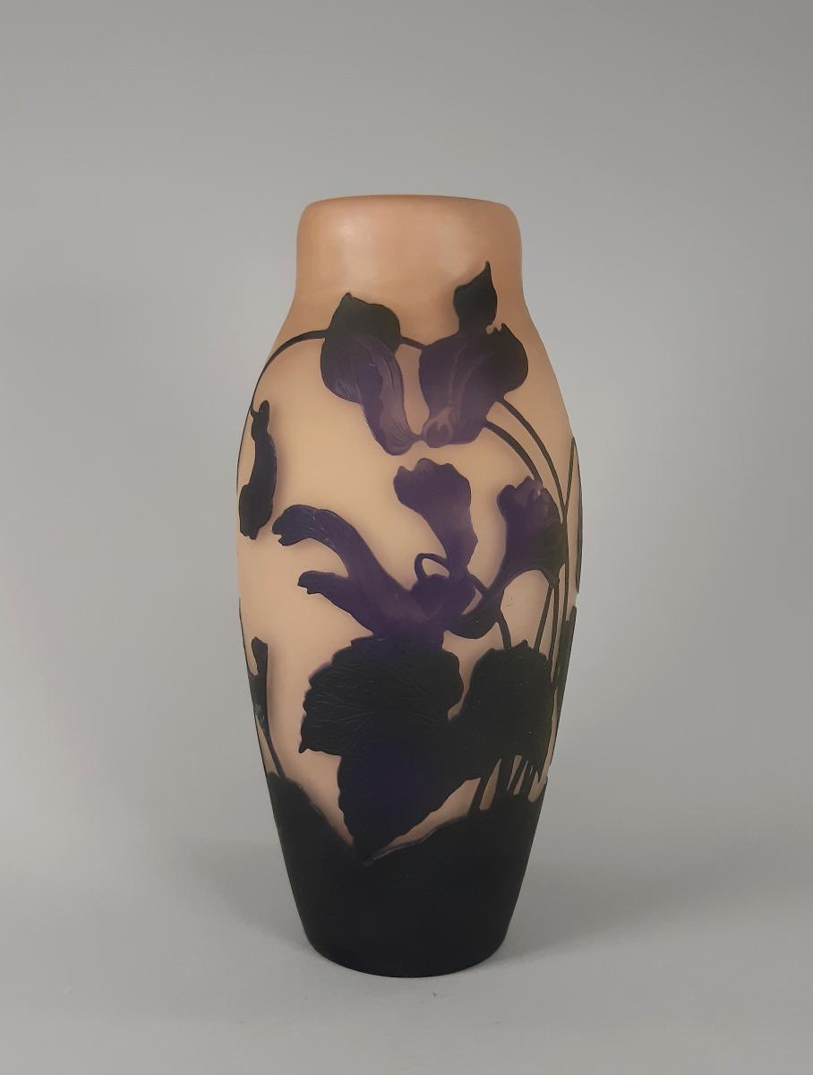 Vase mit Alpenveilchen