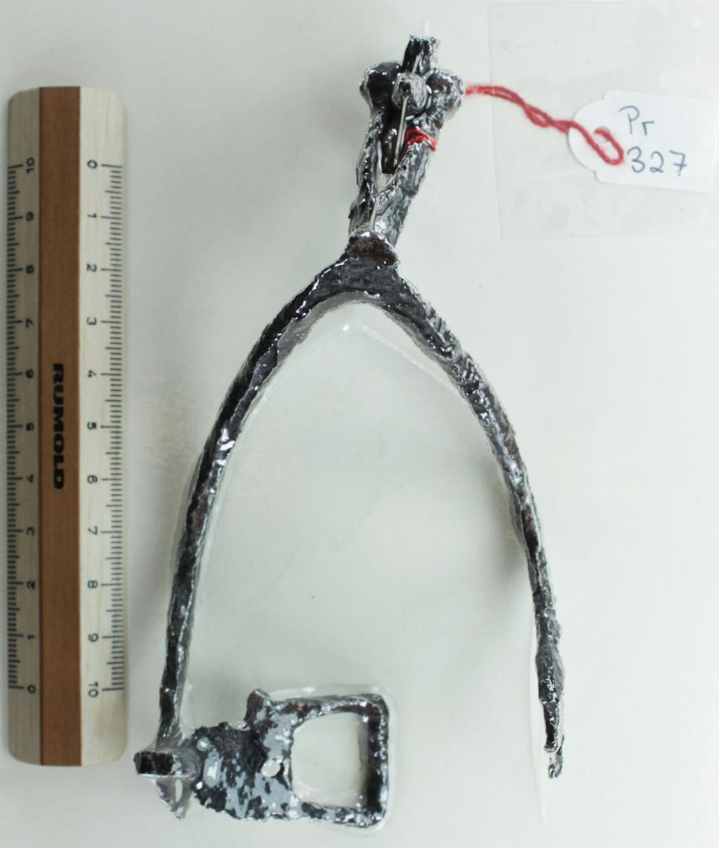 Radsporn