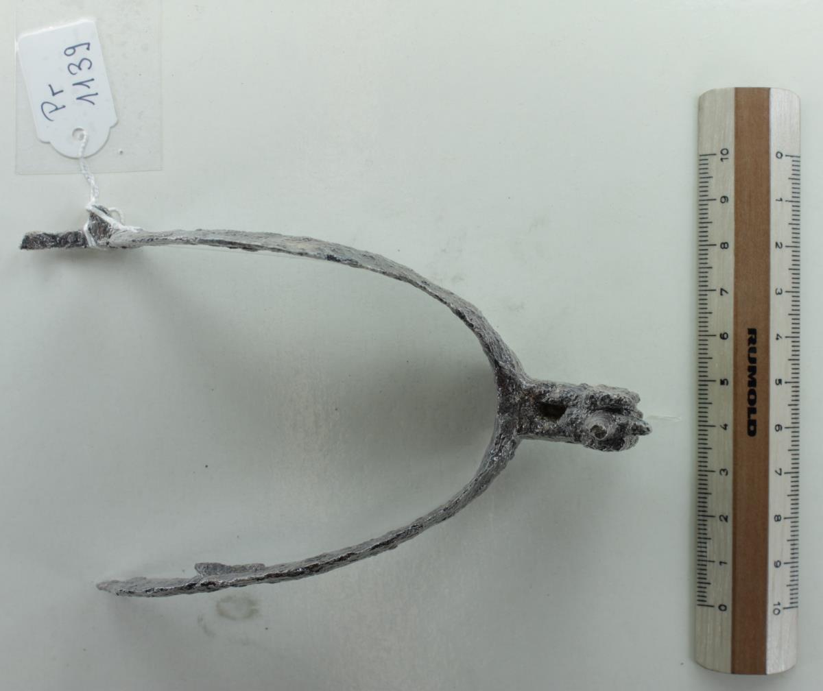 Radsporn